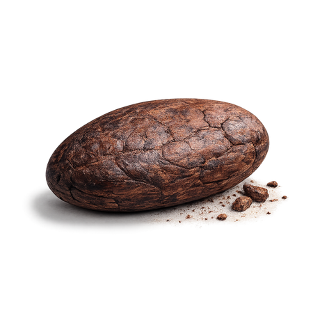Ghanaian Criollo Beans