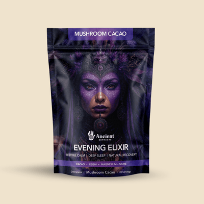 Evening Elixir Mushroom Cacao - Mushroom Extract - Ancient Extracts