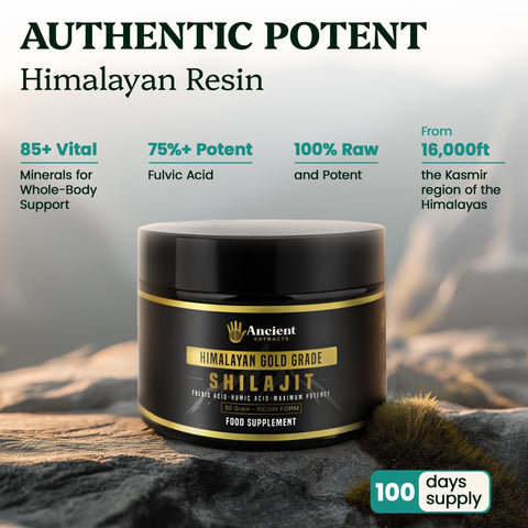 Shilajit Resin - Himalayan Gold Grade (50g) - Nutrition support - Ancient Extracts