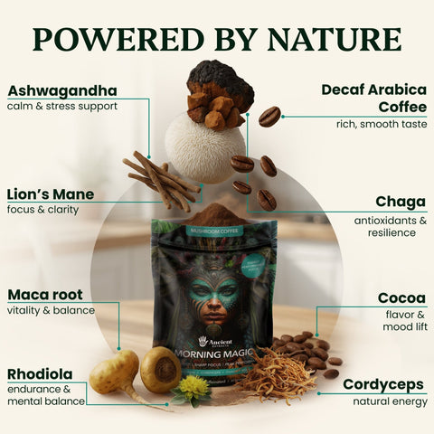 Morning Magic Mushroom Coffee (240g) - Mushroom Extract - Ancient Extracts