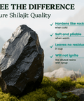 Shilajit Resin - Himalayan Gold Grade (50g) - Nutrition support - Ancient Extracts