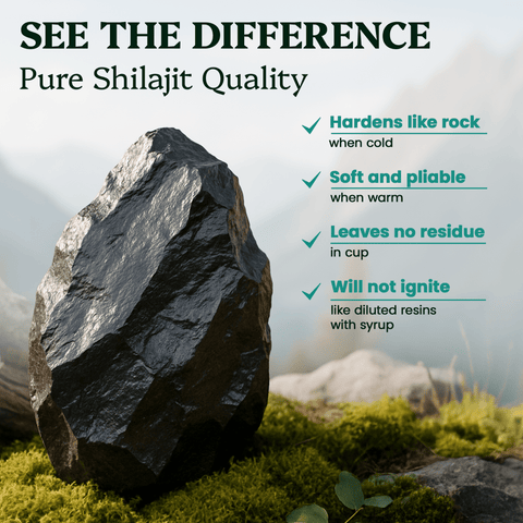 Shilajit Resin - Himalayan Gold Grade (50g) - Nutrition support - Ancient Extracts