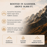 Ancient Extracts Pure Shilajit Resin sourced from Kashmir above 18,000ft elevation