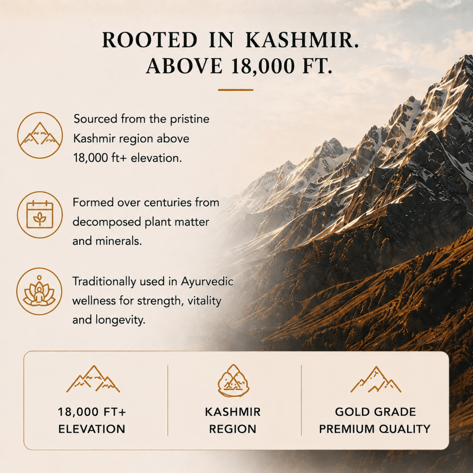 Ancient Extracts Pure Shilajit Resin sourced from Kashmir above 18,000ft elevation