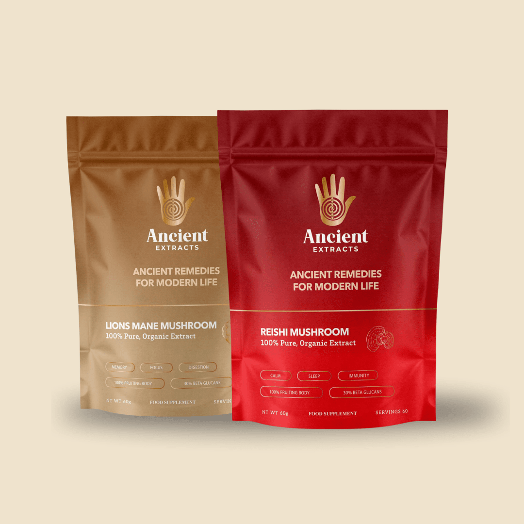 Mindful Pair Lion's Mane & Reishi Extracts - Mushroom Extract - Ancient Extracts