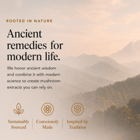 Energy Pair Cordyceps & Chaga Extracts (Copy) - Ancient Extracts