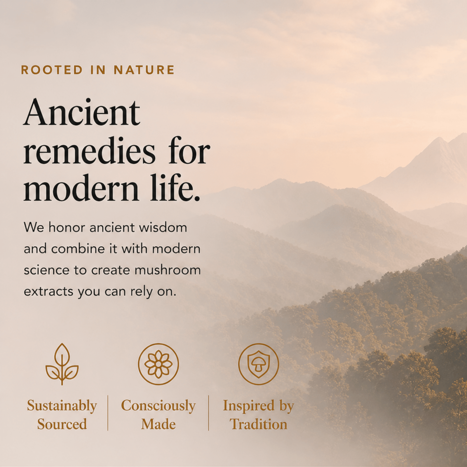 Energy Pair Cordyceps & Chaga Extracts (Copy) - Ancient Extracts