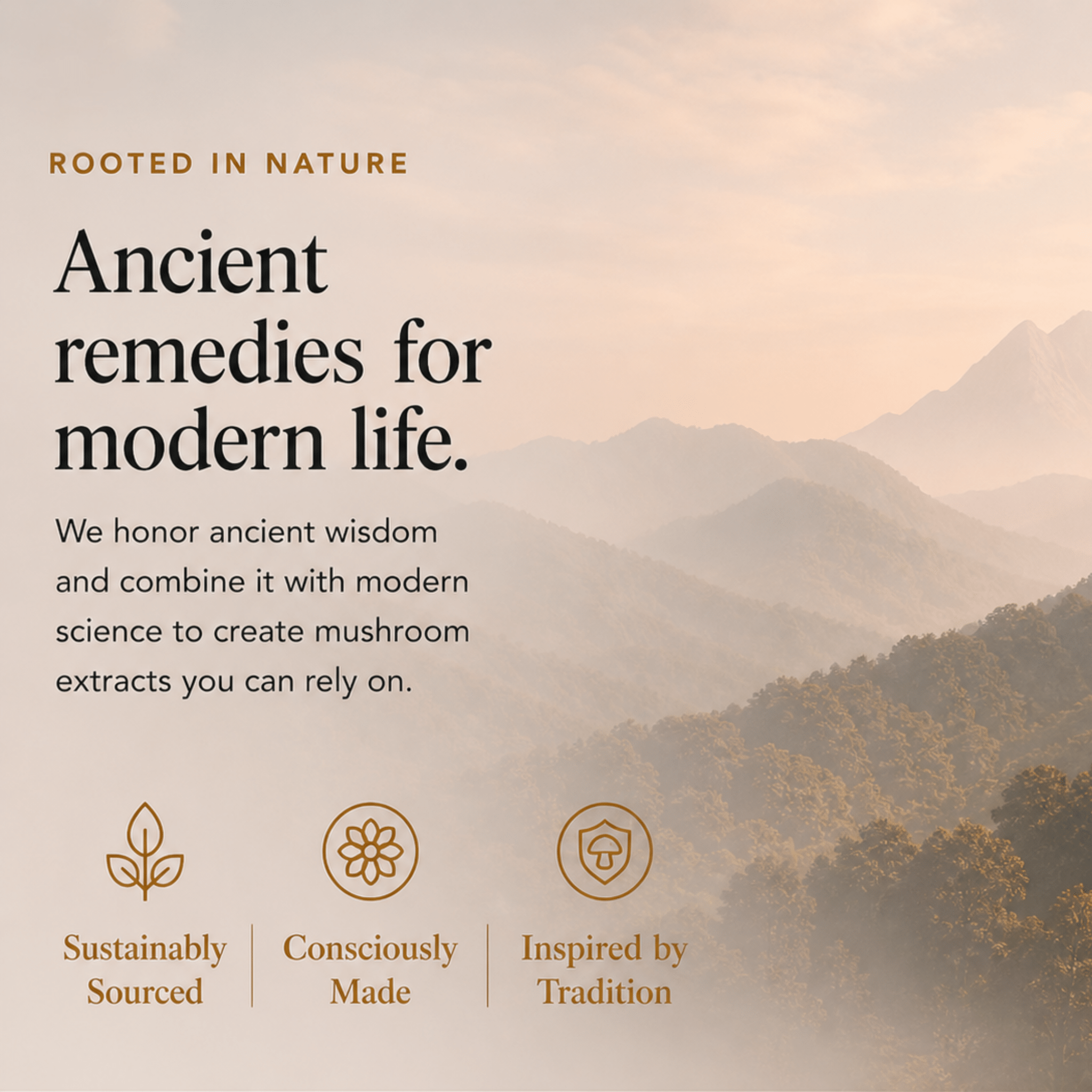 Energy Pair Cordyceps & Chaga Extracts (Copy) - Ancient Extracts