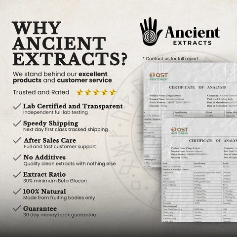 Beauty Pair Tremella & Chaga Mushroom Extracts (60g each) + Free Mixer - Mushroom Extract - Ancient Extracts