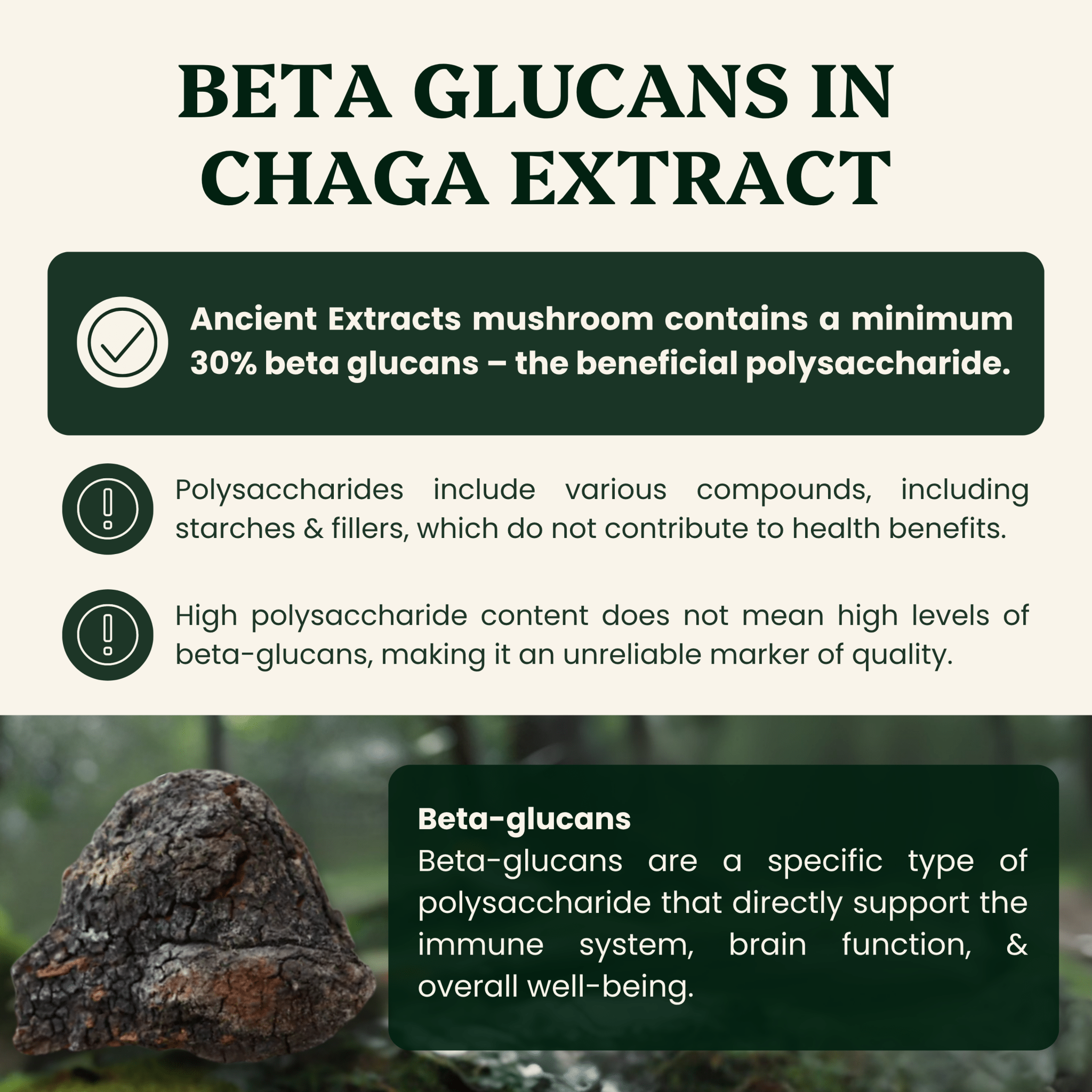 Chaga Mushroom Extract Powder - 30% Beta-glucan (60g)