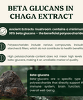 Chaga Mushroom Extract Powder - 30% Beta - glucan (60g) - Mushroom Extract - Ancient Extracts