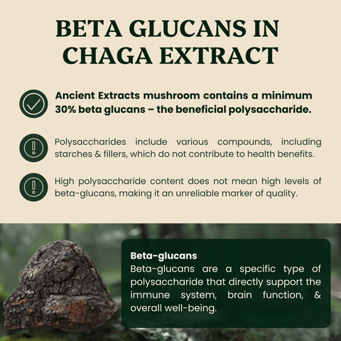 Chaga Mushroom Extract Powder - Mushroom Extract - Ancient Extracts
