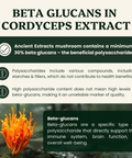Cordyceps Mushroom Extract Powder - 30% Beta - glucan (60g) - Mushroom Extract - Ancient Extracts