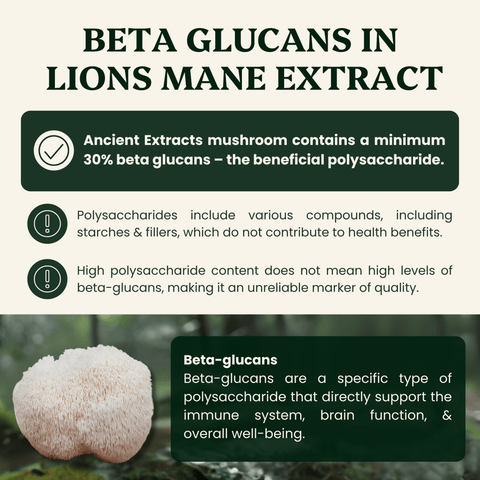 Lion's Mane Mushroom Extract Powder - 30% Beta-glucan (60g)