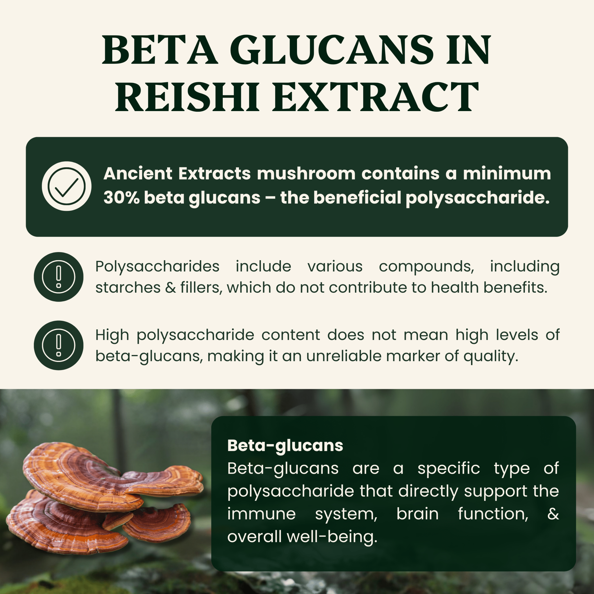 Reishi Mushroom Extract Powder - 30% Beta-glucan (60g)
