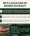Reishi Mushroom Extract Powder - 30% Beta - glucan (60g) - Mushroom Extract - Ancient Extracts