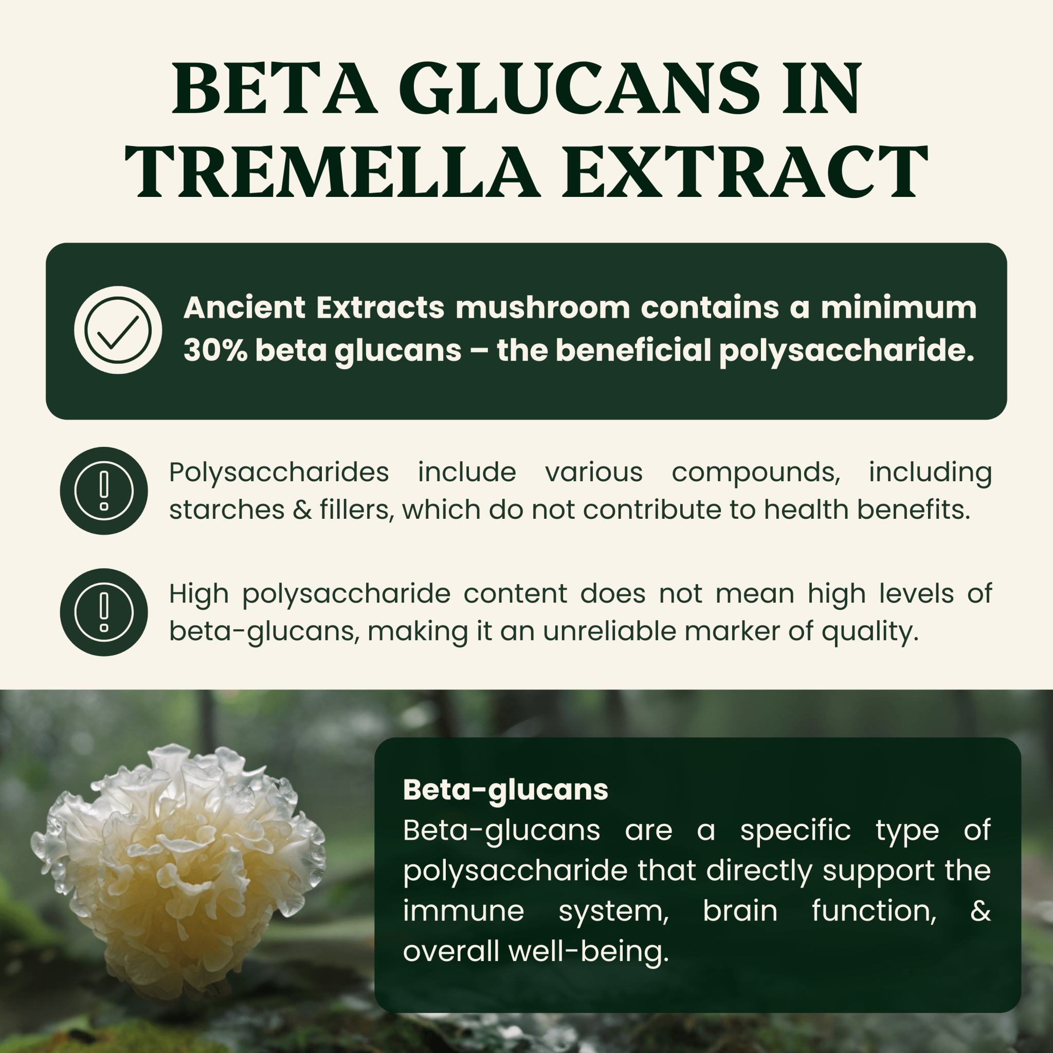 Tremella Mushroom Organic Extract - 30% Beta Glucans (60g)