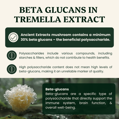 Tremella Mushroom Organic Extract - 30% Beta Glucans (60g) - Ancient Extracts