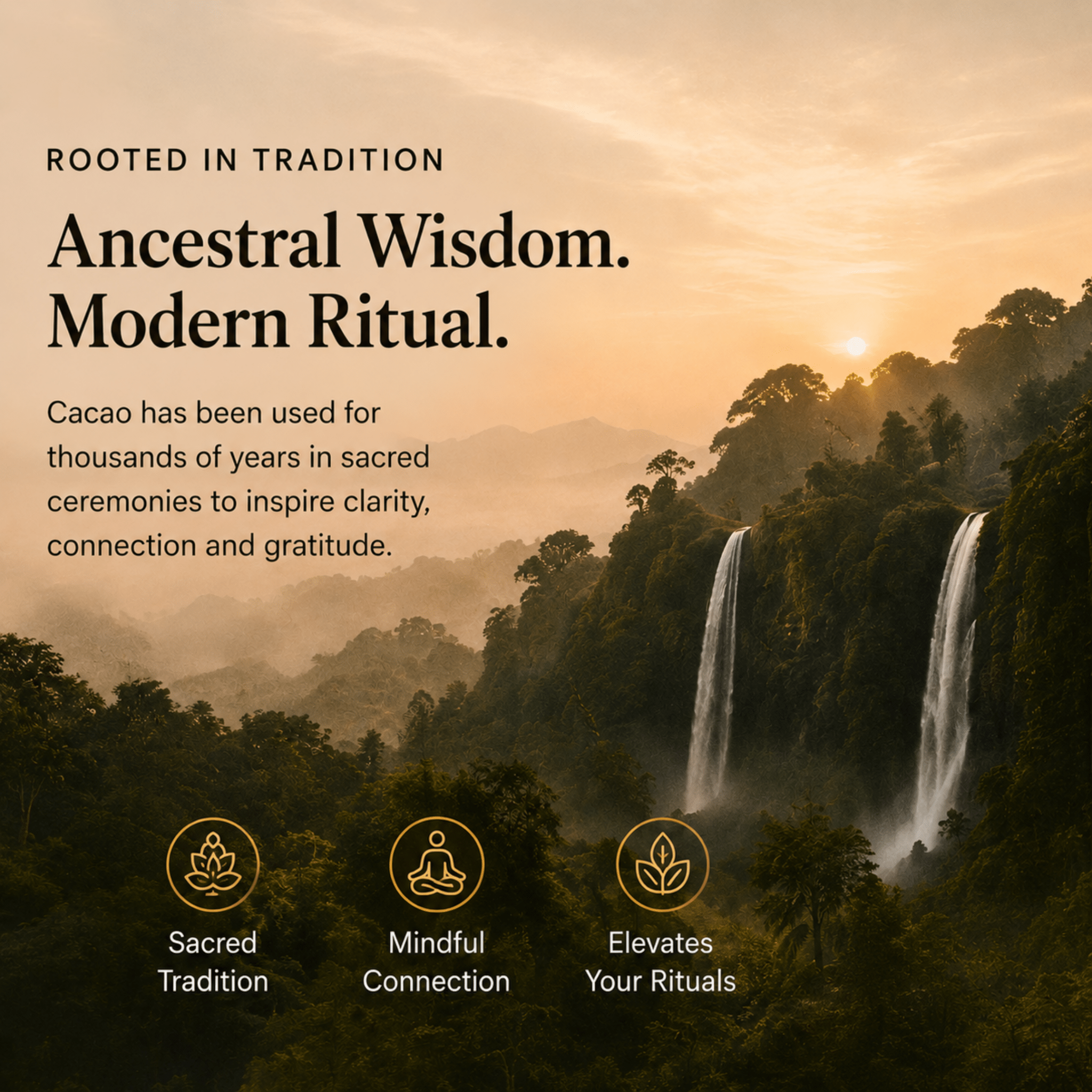 Ceremonial Grade Cacao Collection Box - Nutrition support - Ancient Extracts