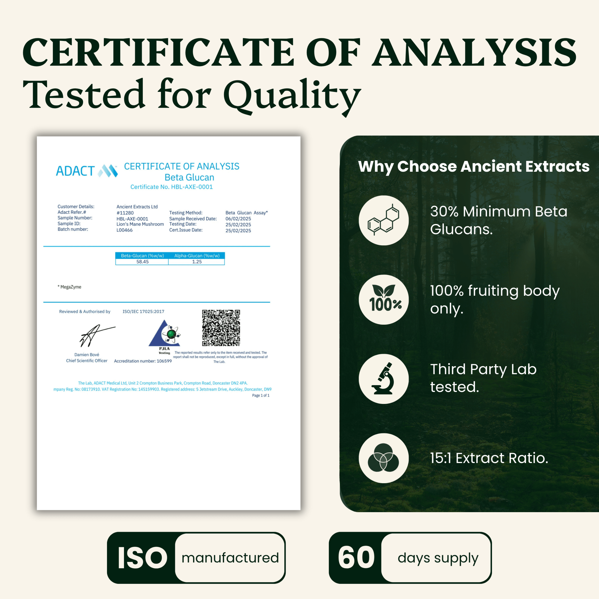 Lion's Mane Mushroom Extract Powder - 30% Beta-glucan (60g)