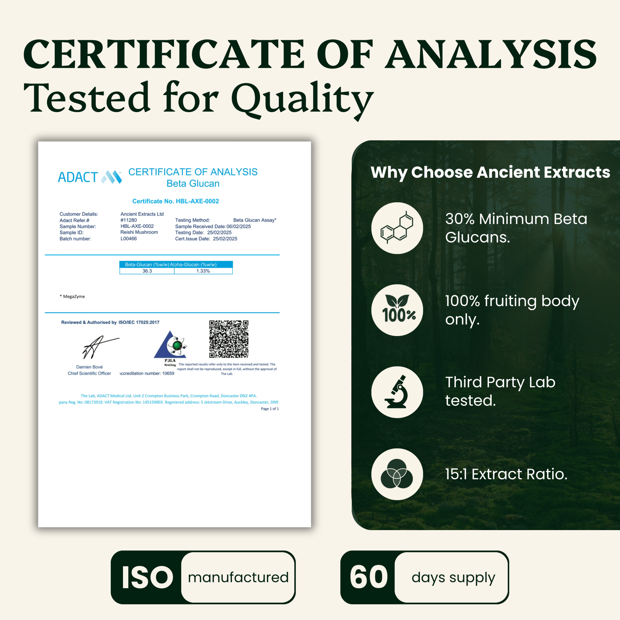Reishi Mushroom Extract Powder - 30% Beta-glucan (60g)