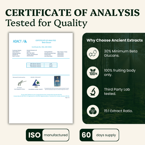 Turkey Tail Mushroom Extract Powder - 30% Beta-glucan (60g)