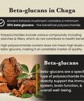 Image of Chaga mushroom with educational text about beta-glucans, highlighting immune support and health benefits – Ancient Extracts
