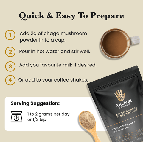 Beauty Pair Tremella & Chaga Mushroom Extracts (60g each) + Free Mixer - Mushroom Extract - Ancient Extracts