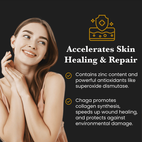 Beauty Pair Tremella & Chaga Mushroom Extracts (60g each) + Free Mixer - Mushroom Extract - Ancient Extracts