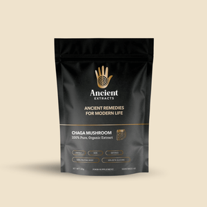 Chaga Mushroom Extract Powder