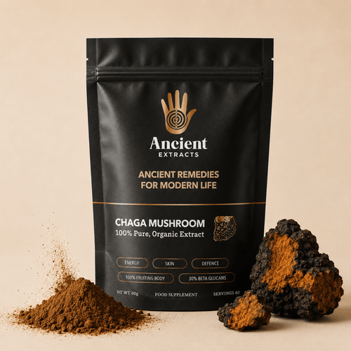 Chaga Mushroom Extract Powder - Mushroom Extract - Ancient Extracts