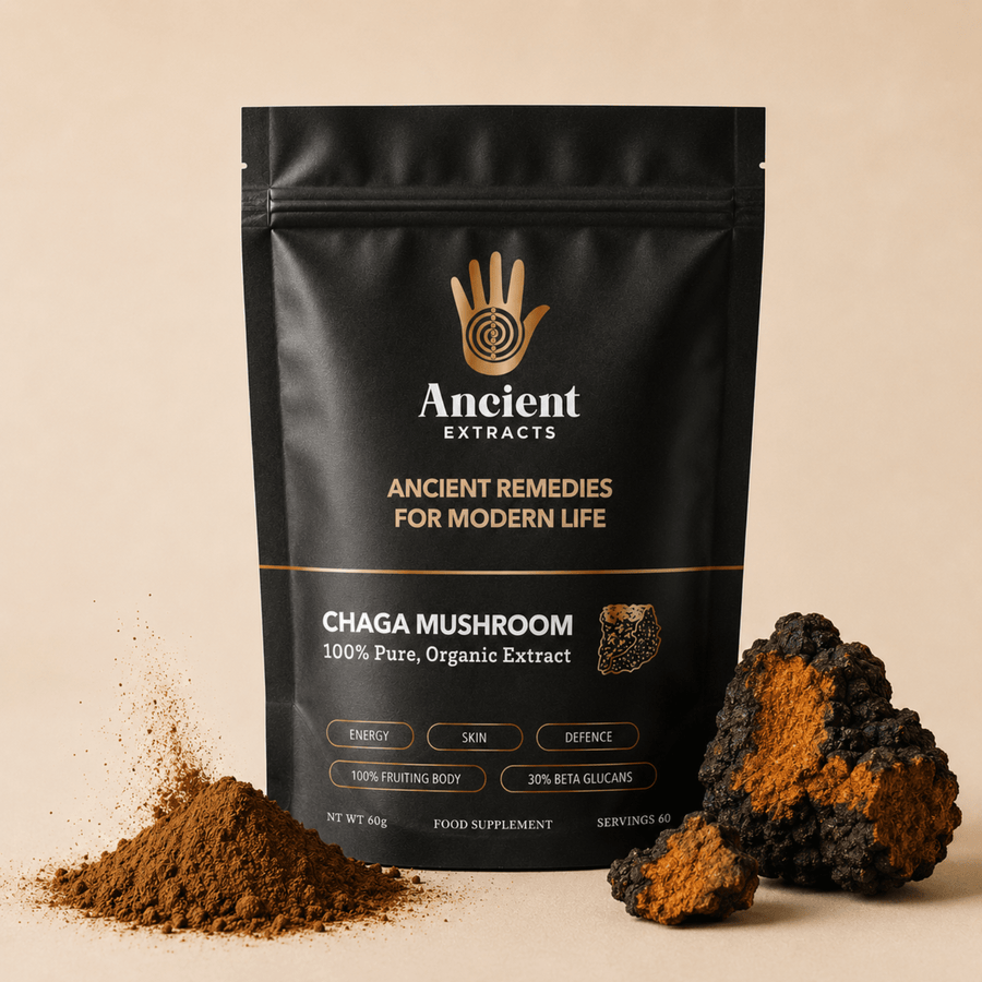 Chaga Mushroom Extract Powder
