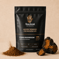 Chaga Mushroom Extract (30g) - Mushroom Extract - Ancient Extracts