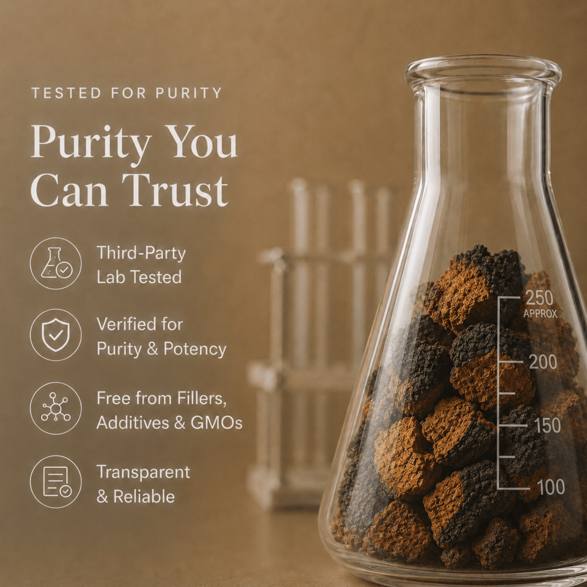 Chaga Mushroom Extract Powder - Mushroom Extract - Ancient Extracts