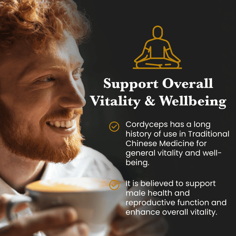 Hormone Pair Reishi & Cordyceps Extracts - 30% Beta Glucans (60g each) - Mushroom Extract - Ancient Extracts