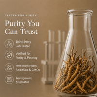 Cordyceps Mushroom Extract Powder - Mushroom Extract - Ancient Extracts