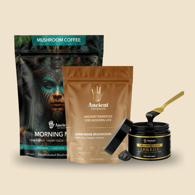 Digestive+ Stack - Shilajit Resin, Lion's Mane and Morning Magic - Ancient Extracts