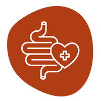 Digestive Wellness