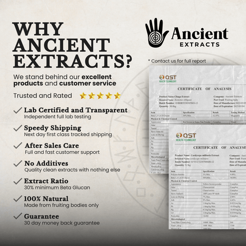 Energy Pair Chaga & Cordyceps Extracts - 30% Beta Glucans (60g each) - Ancient Extracts