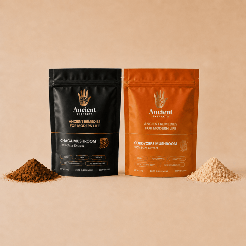 Energy Pair Cordyceps & Chaga Extracts
