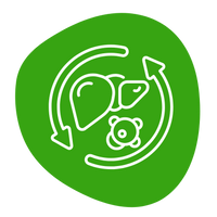 Vitality-Inspired Tradition