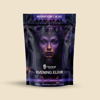 Evening Elixir Mushroom Cacao