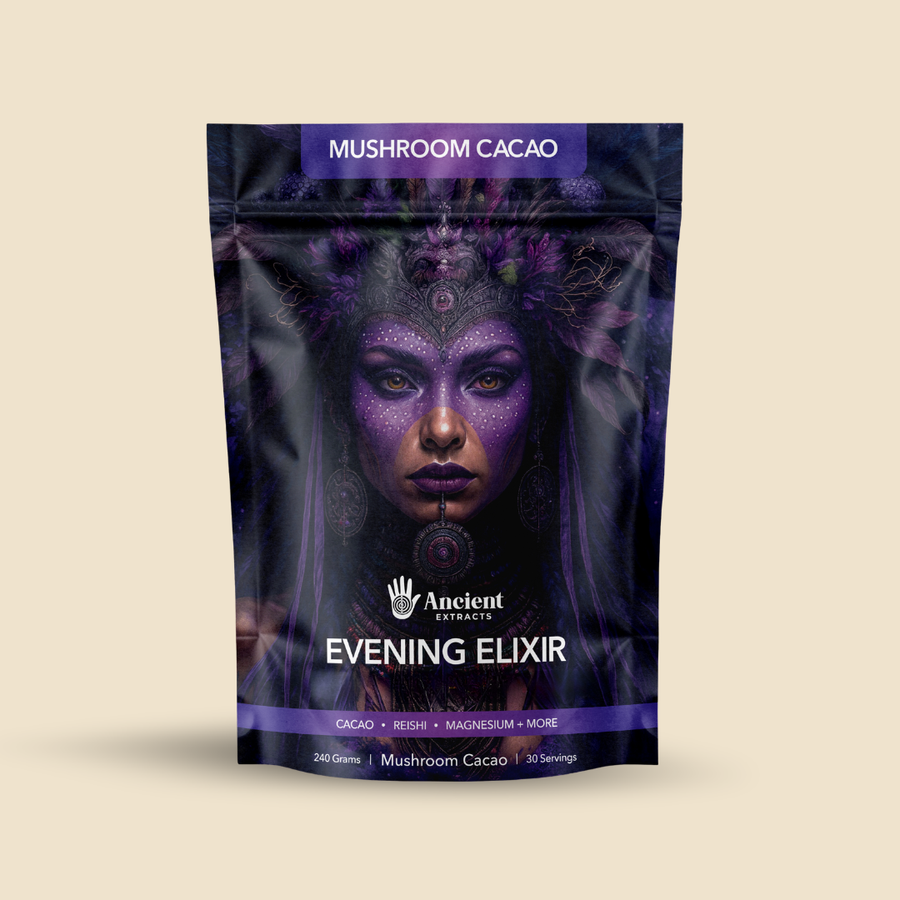 Evening Elixir Mushroom Cacao