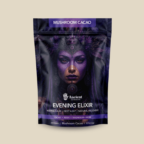 Evening Elixir Mushroom Cacao (240g) - Mushroom Extract - Ancient Extracts