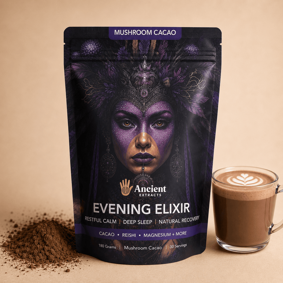 Evening Elixir Mushroom Cacao
