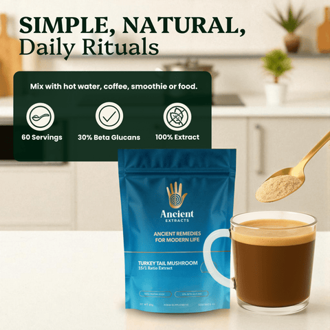 Turkey Tail Mushroom Extract Powder - 30% Beta-glucan (60g)