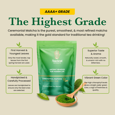 Image of Ceremonial Matcha packaging with green matcha powder and tea leaves, highlighting its AAAA+ grade and health benefits – Ancient Extracts