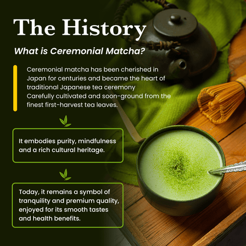 Ceremonial Matcha AAAA+ Grade - 50 Servings - 50g - Nutrition support - Ancient Extracts