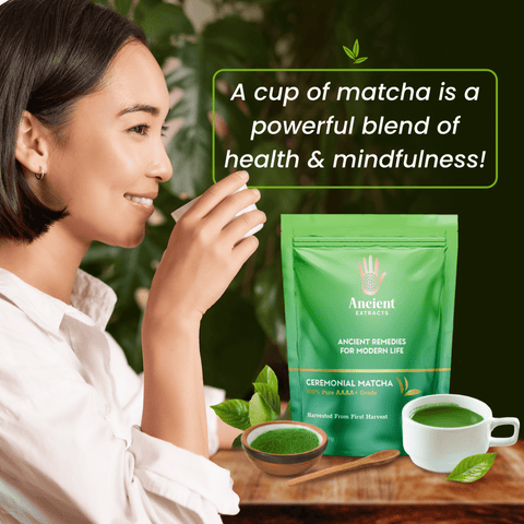 Ceremonial Matcha AAAA+ Grade - 50 Servings - 50g - Nutrition support - Ancient Extracts