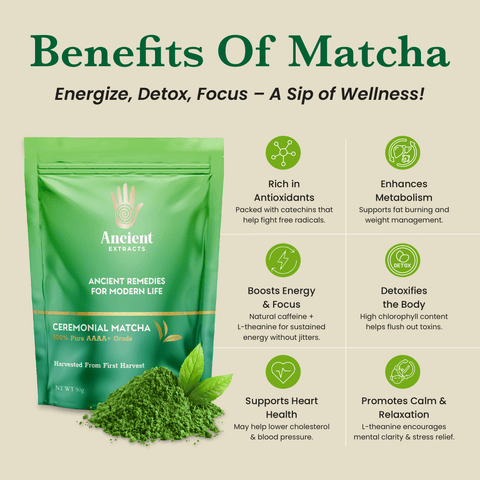 Ceremonial Matcha AAAA+ Grade - 50 Servings - 50g - Nutrition support - Ancient Extracts